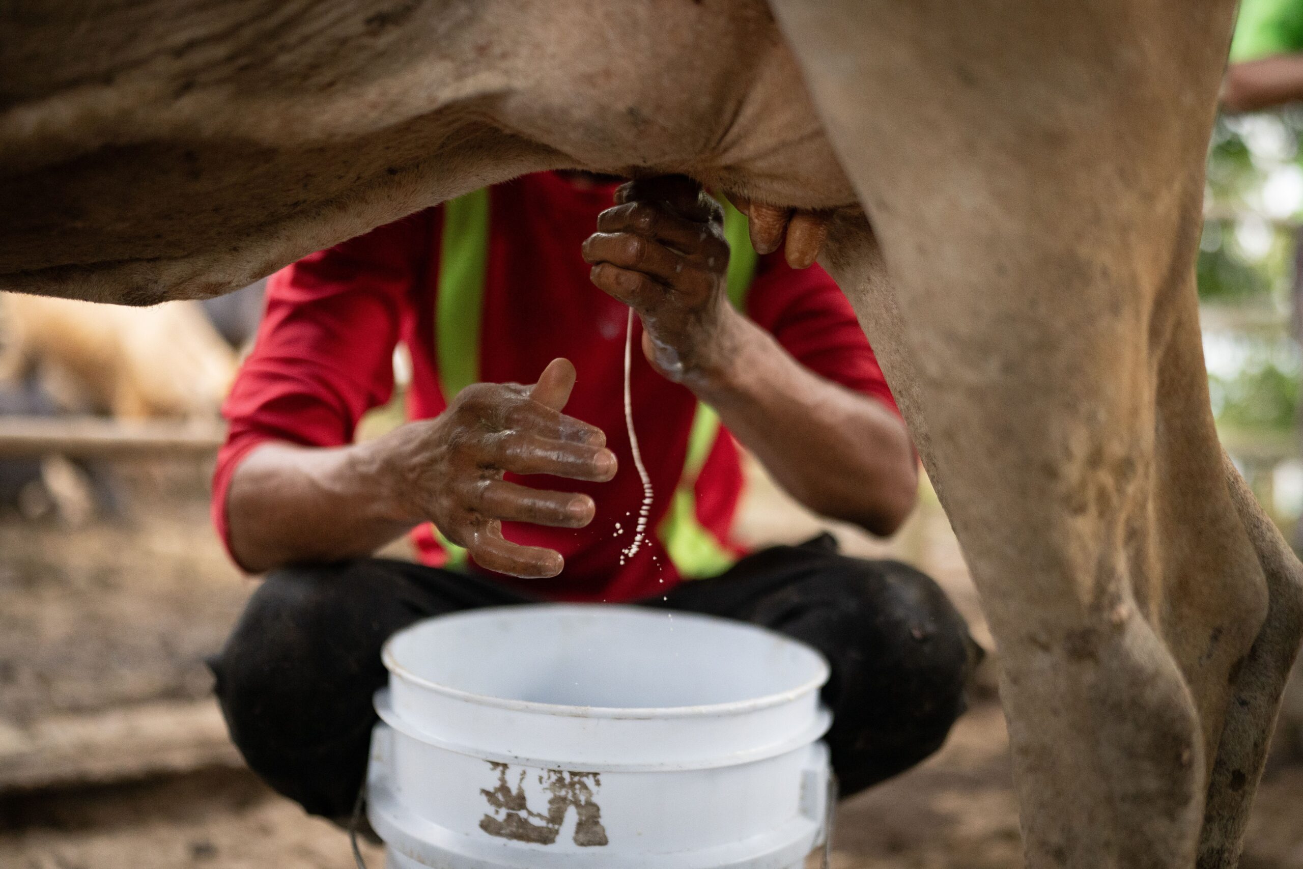 Desos 114_compressed